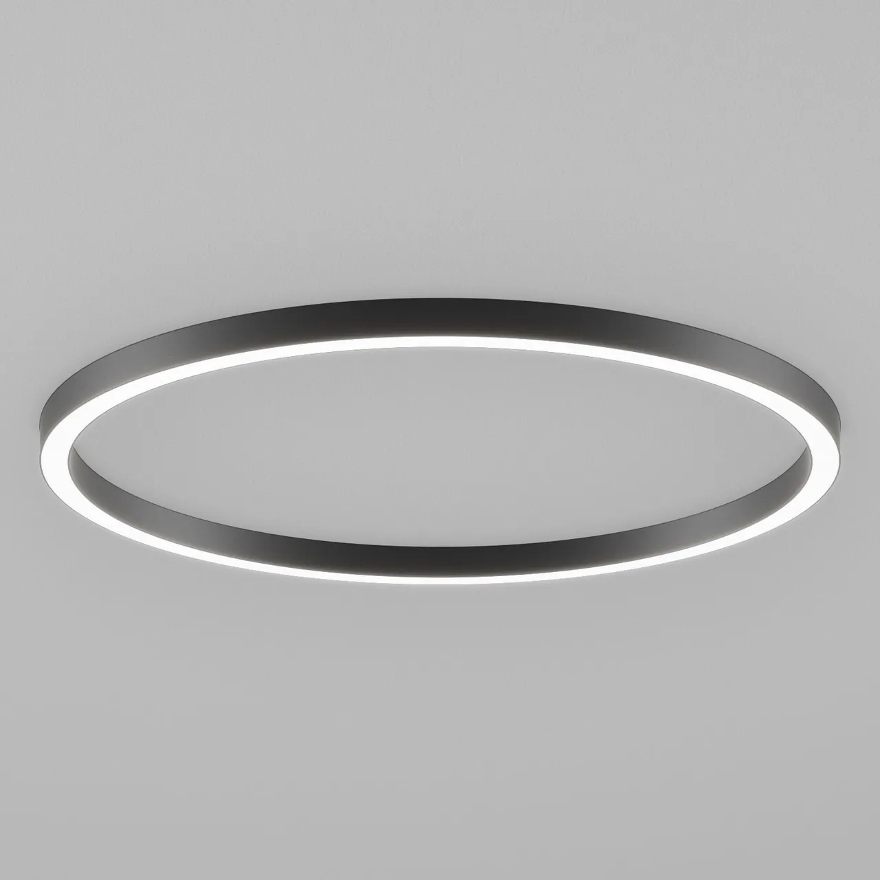 HIP-RADII-RING-SM