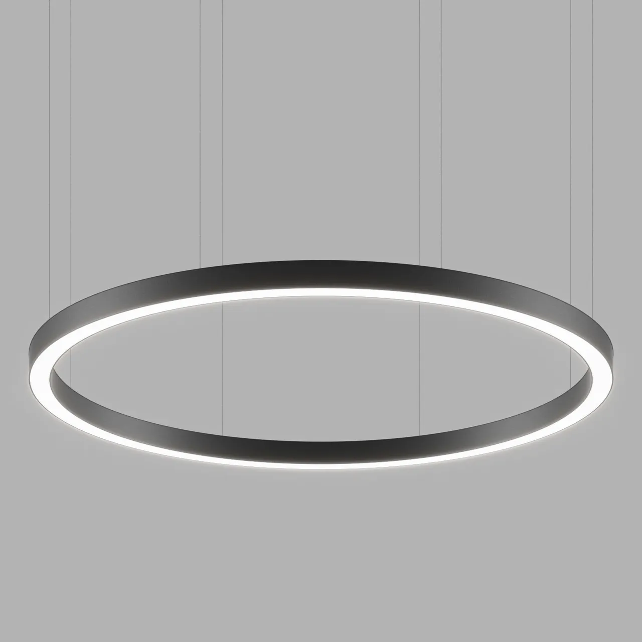 HIP-RADII-RING-SUS