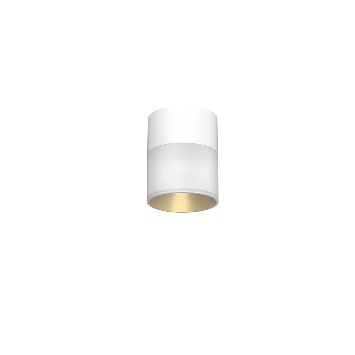 PEARL Ceiling